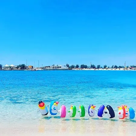 Terrazza 44 شقة ليتشي